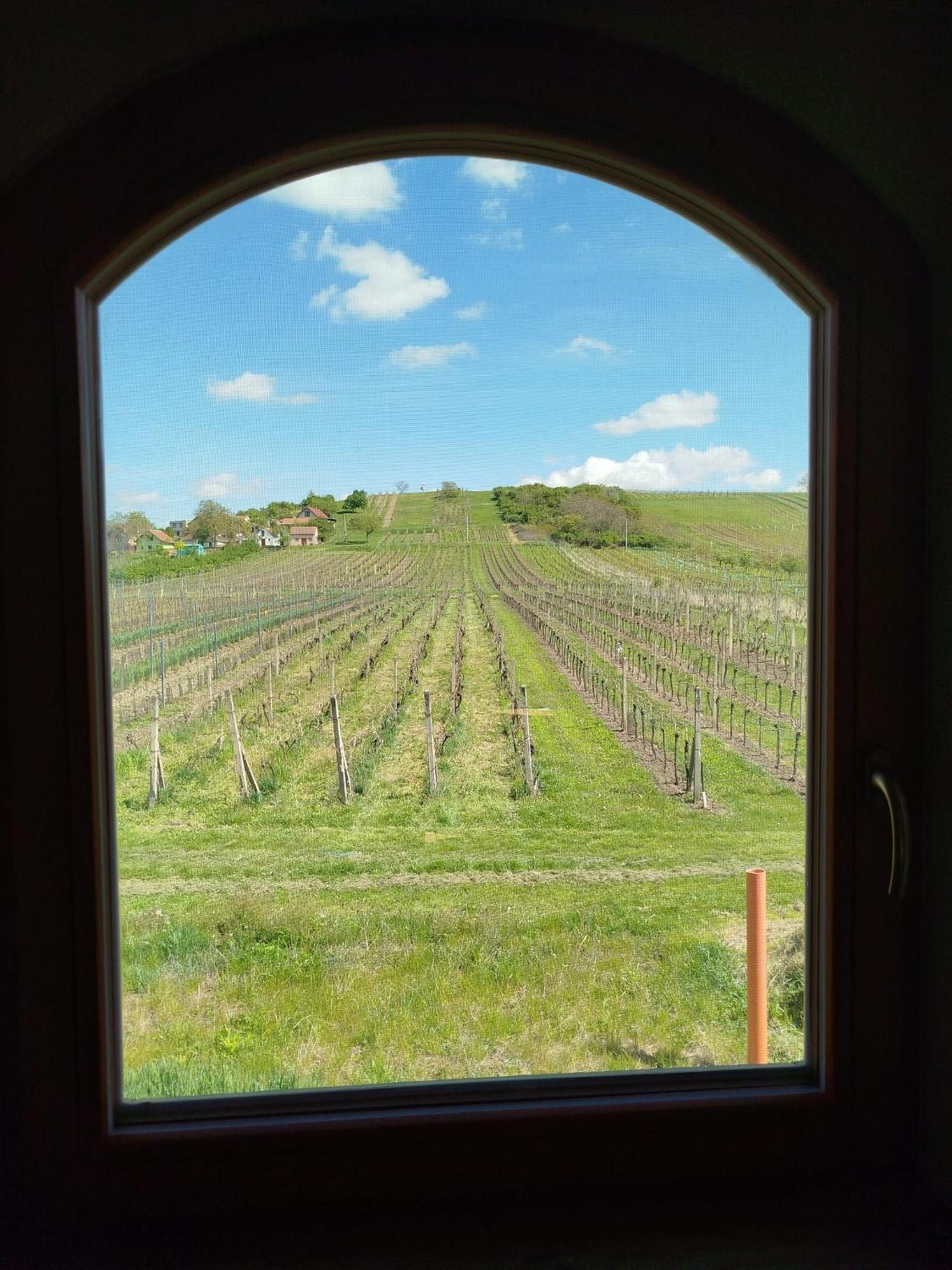 Sklep Vino Strycek Konuk evi Velké Bílovice Dış mekan fotoğraf